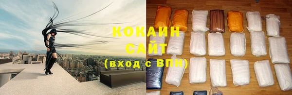 гидра Белоозёрский