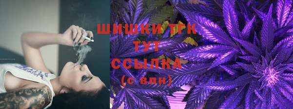 гидра Белоозёрский