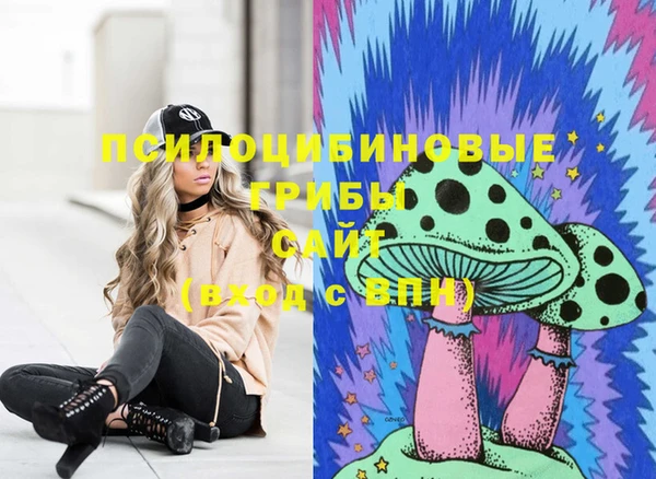гидра Белоозёрский