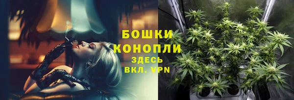 гидра Белоозёрский