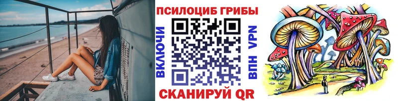 Галлюциногенные грибы MAGIC MUSHROOMS  наркотики  Светогорск 