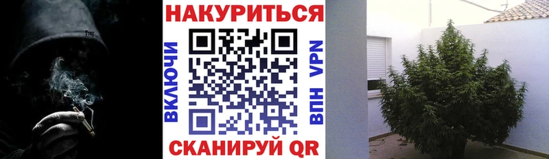 Конопля White Widow  где купить   Светогорск 